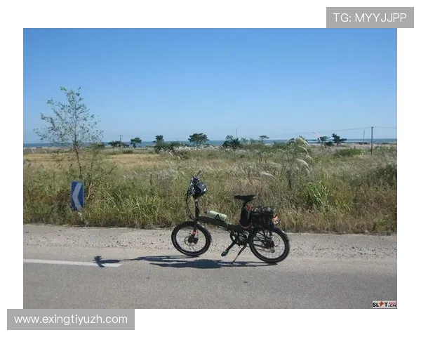 半岛体育登录入口官方渠道及常见登录问题解决方案详解
