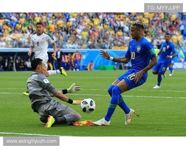 探索米兰体育国际娱乐平台的丰富体育项目和专业赛事分析内容