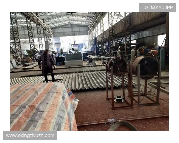 韦德体彩多种投注方式全面解析满足不同玩家的需求